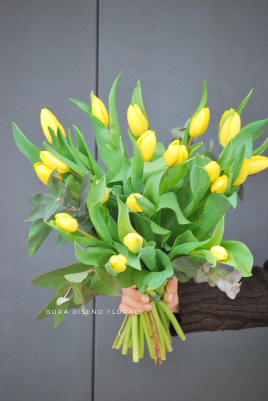 Ramo de tulipanes amarillos "Good Day"